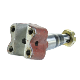 Czop koła przedniego z nakrętką, (18) C-4011 50436451 APARTS